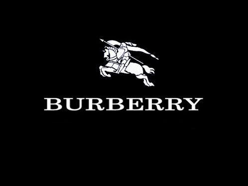 Logo Design 2013 on Burberry Logo
