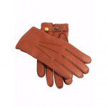 dents-glove-main