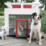 cubix-luxury-dog-home