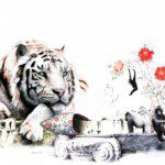 Kim Nam Pyo Art