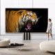 C-SEED M1 MicroLED TV