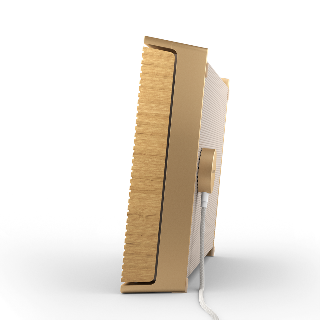 Bang & Olufsen Portable WiFi Speaker