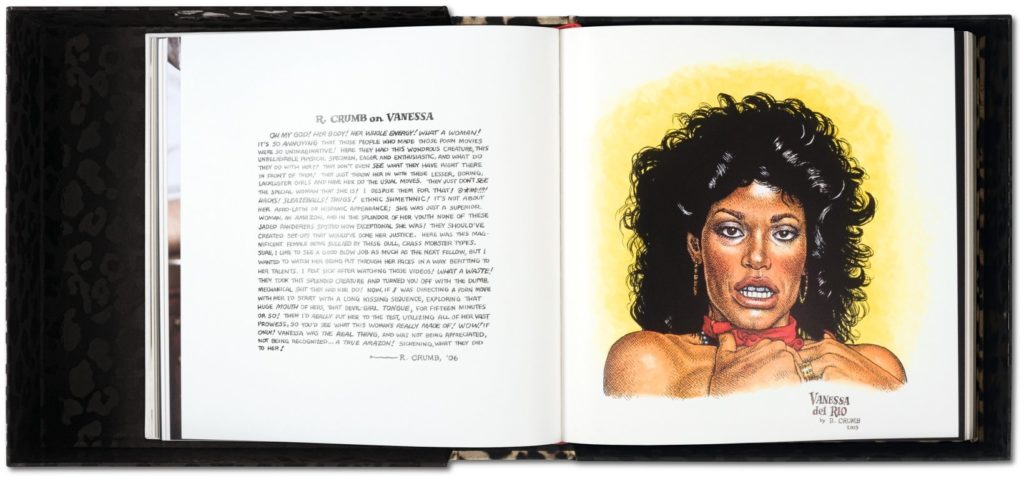 Vanessa del Rio Book
