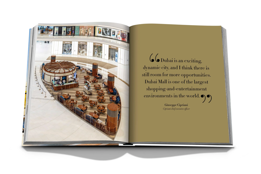 Dubai Mall: A Mall Like No Other Book