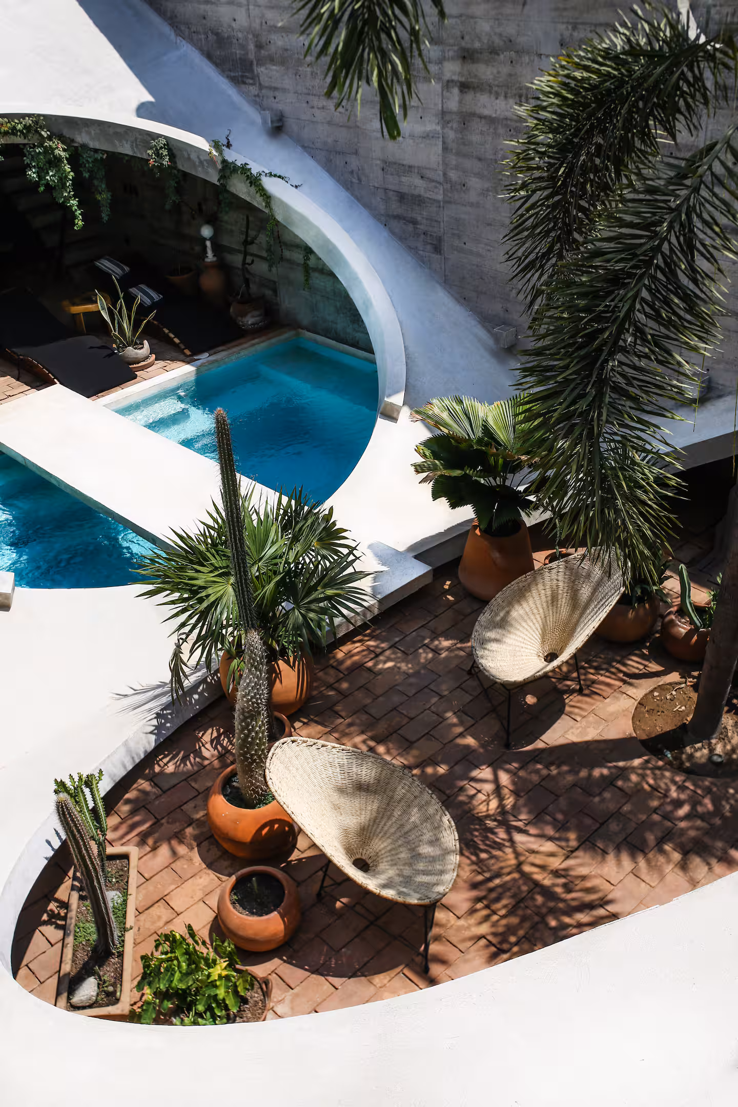 Brutalist Casa Hezbo Airbnb in Puerto Escondido with circular concrete pool opening, private swimming pool, tropical greenery, and open-air lounge area.